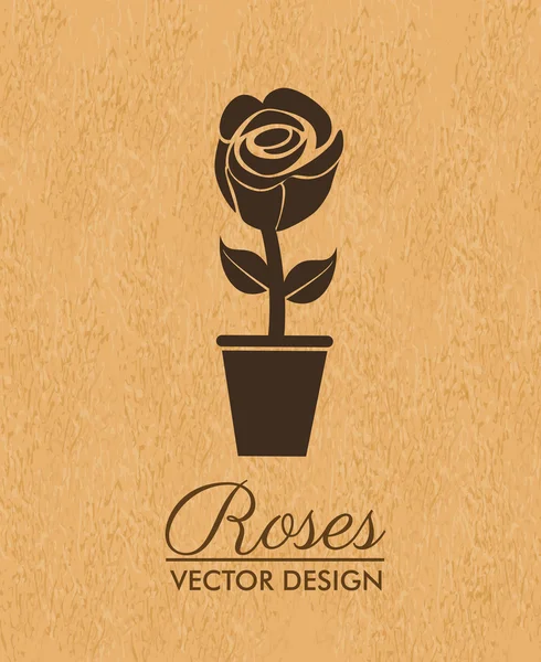 Rosa design — Stock vektor