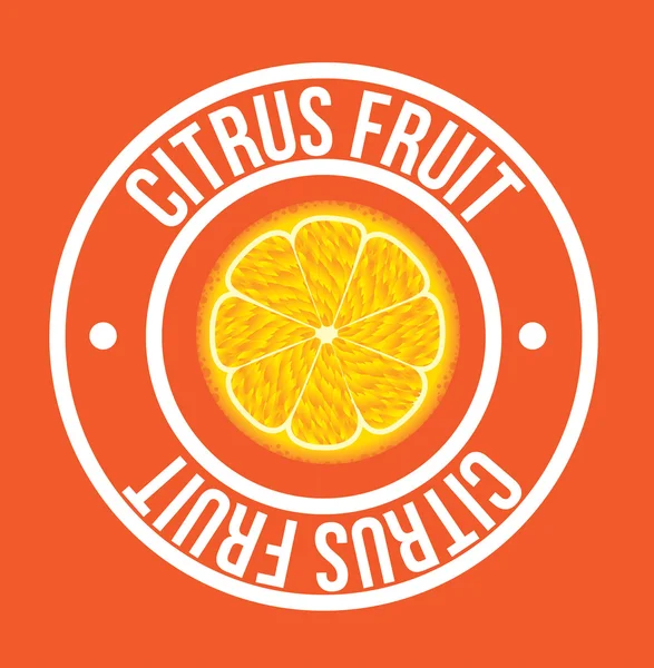 Оранжевий плід цитрусового — стоковий вектор