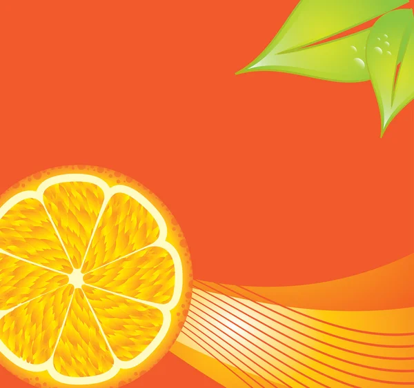 Cítricos de naranja — Vector de stock