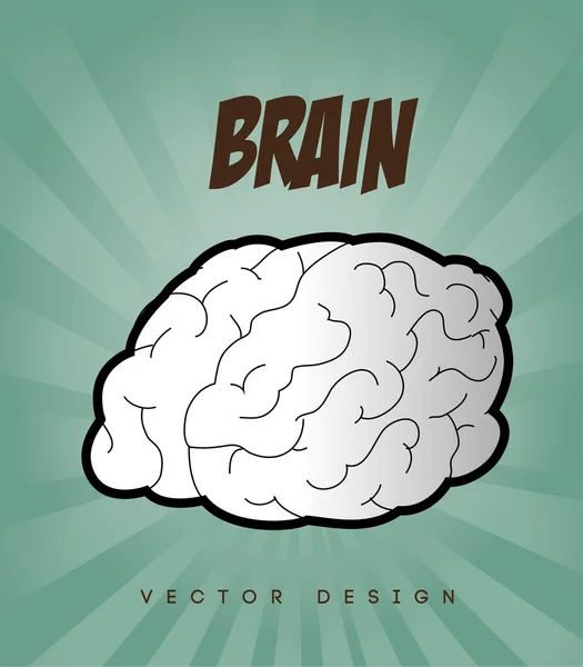 Brain — Stock Vector