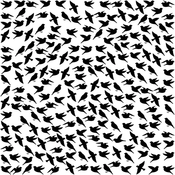 Modèle d'oiseaux — Image vectorielle