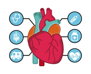 sağlıklı simgeler