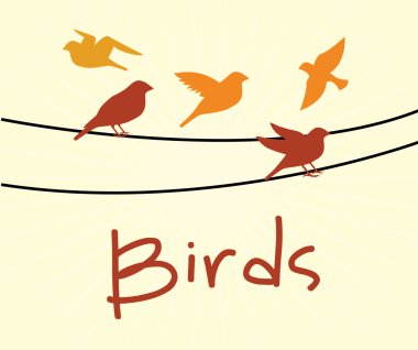 kuşlar tasarım