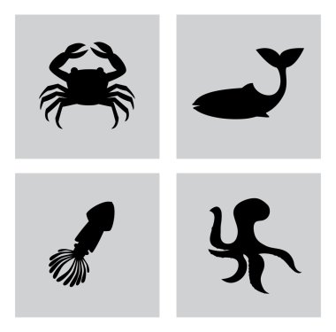 Evcil hayvan tasarımı 