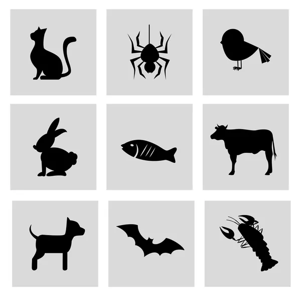 Дизайн домашних животных — стоковый вектор