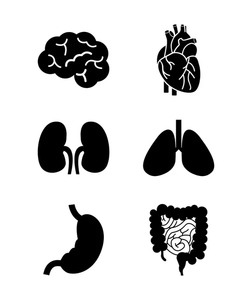 Diseño médico — Archivo Imágenes Vectoriales