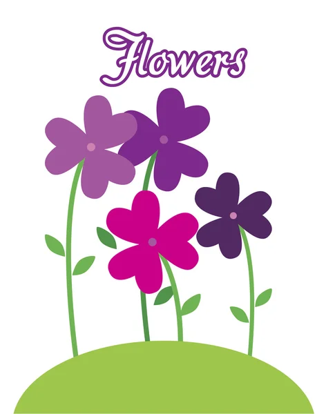 Purple flowers — Stock Vector