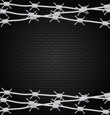 Champ de maïs à la récolte