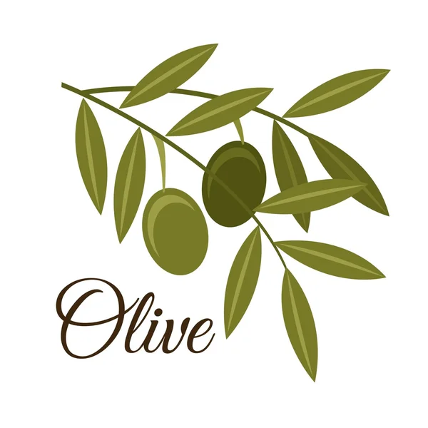 Olives design — Stock Vector