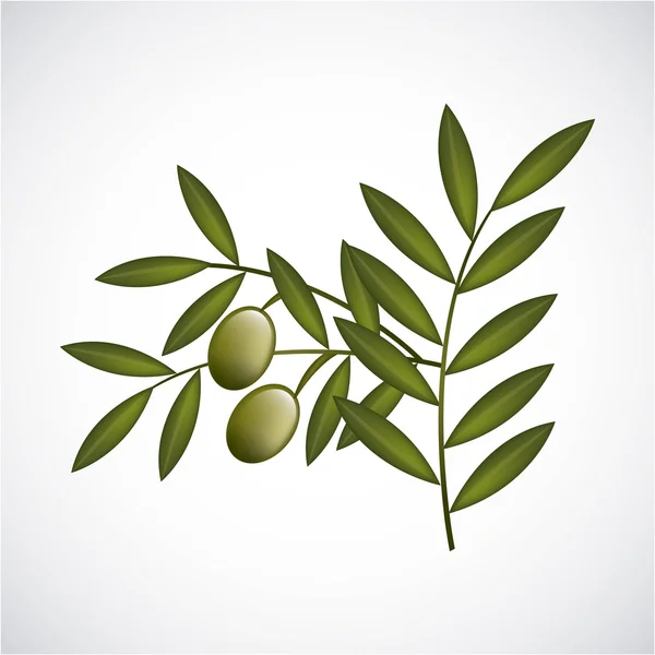 Olives design — Stock Vector