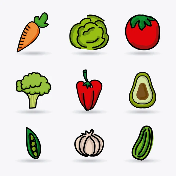 Conception de légumes — Image vectorielle