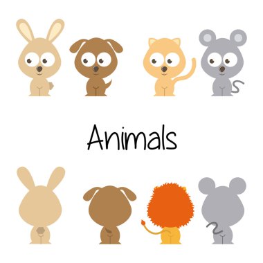 Evcil hayvan tasarımı