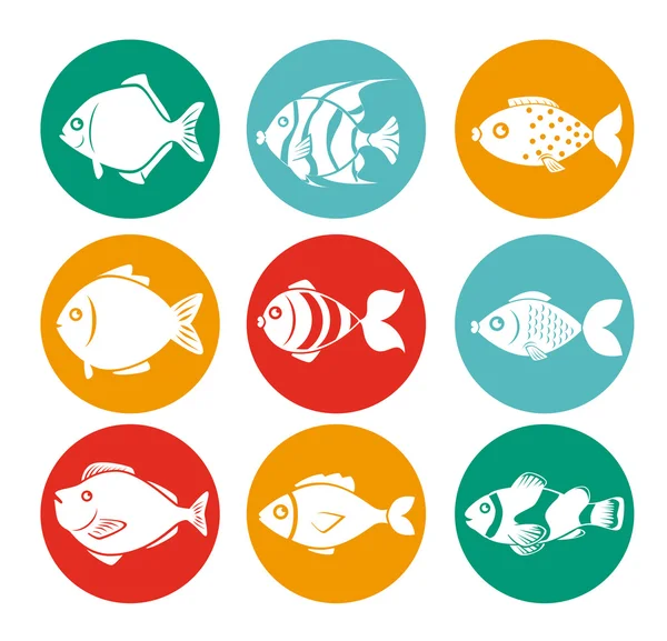 Diseño de peces — Vector de stock