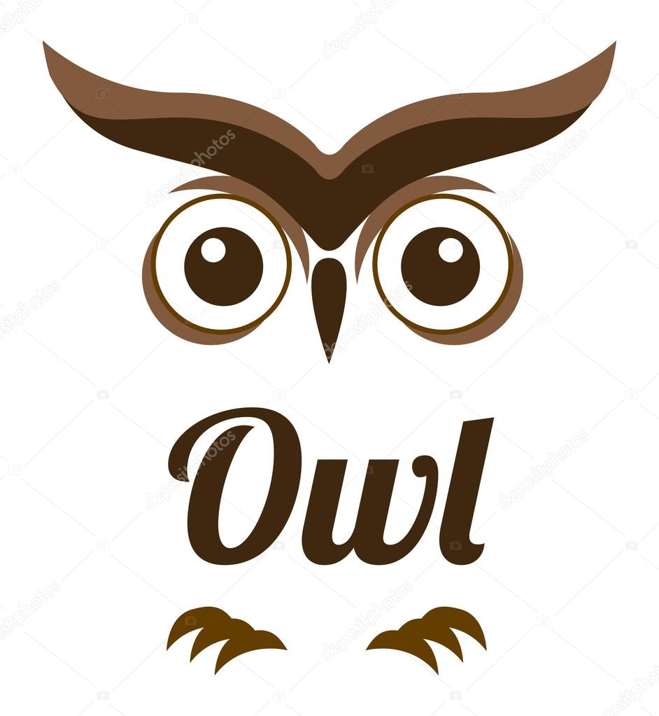 owl design 