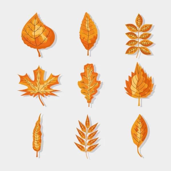 Nine autumn leafs — Stock Vector