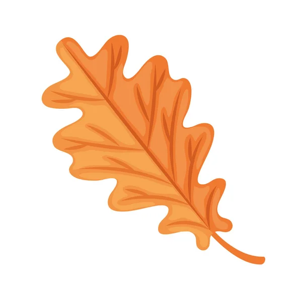 Autumn oak leaf icon — Stock Vector