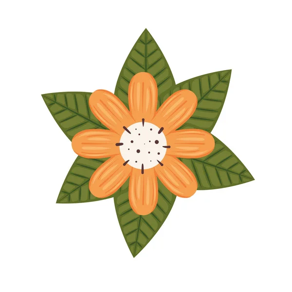 Orange flower icon — Stock Vector