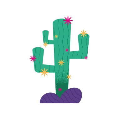 Meksika kaktüsü bitkisi