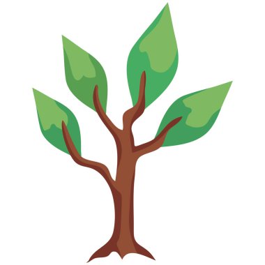 Yapraklı ağaç bitkisi