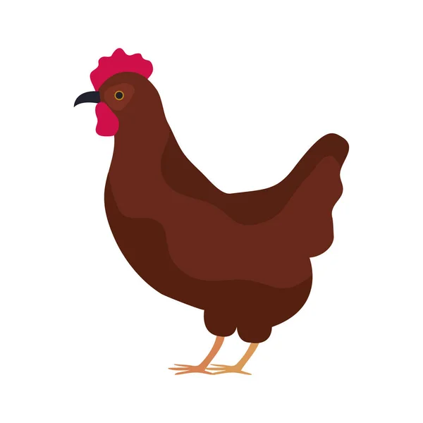 母鸡农场动物 — 图库矢量图片