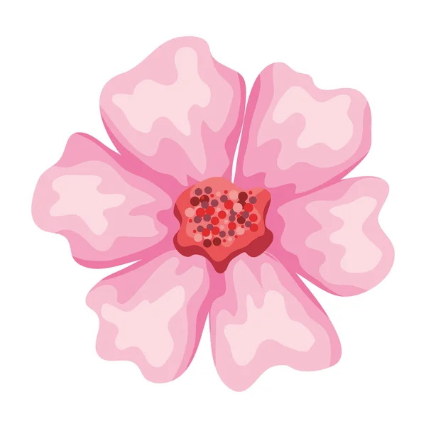 Růžové okvětní lístky květiny — Stockový vektor