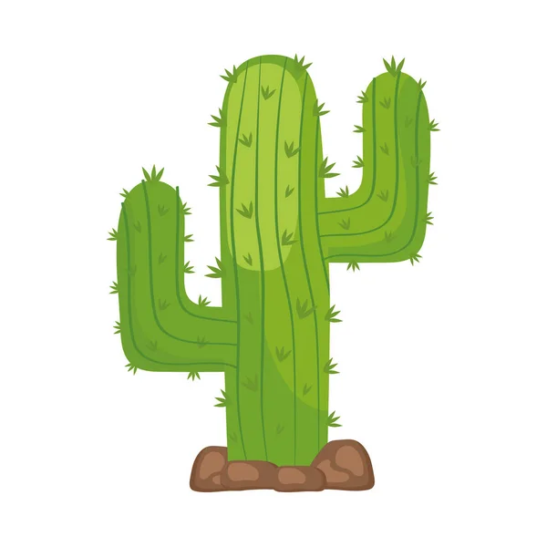 Cactus planta exótica — Archivo Imágenes Vectoriales