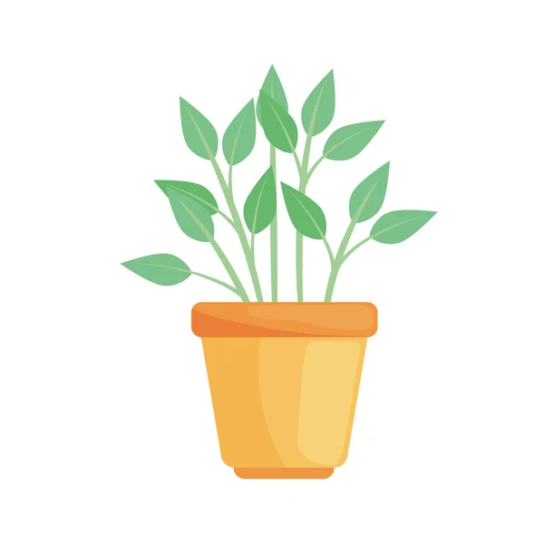 Pote planta natureza — Vetor de Stock
