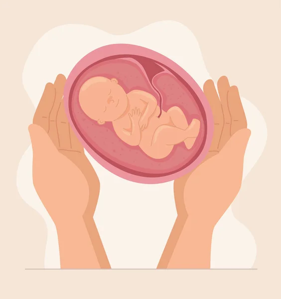 Handen håller barnet i livmodern — Stock vektor