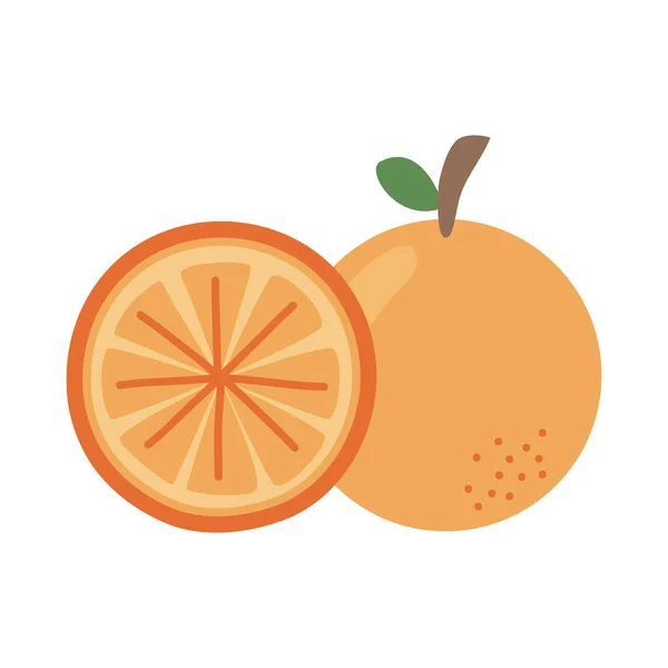 Agrumes orange — Image vectorielle