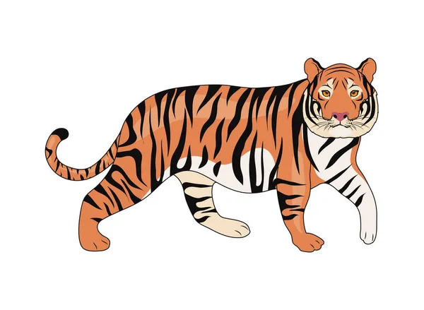 Tigre sauvage animal — Image vectorielle