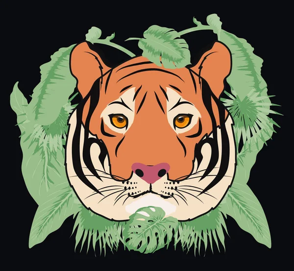 Affiche tête de tigre — Image vectorielle