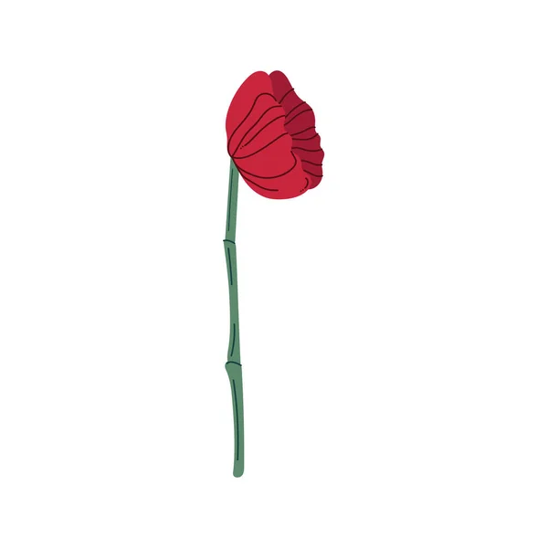 Fleur rose rouge — Image vectorielle