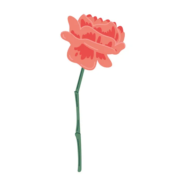 美红玫瑰花朵 — 图库矢量图片