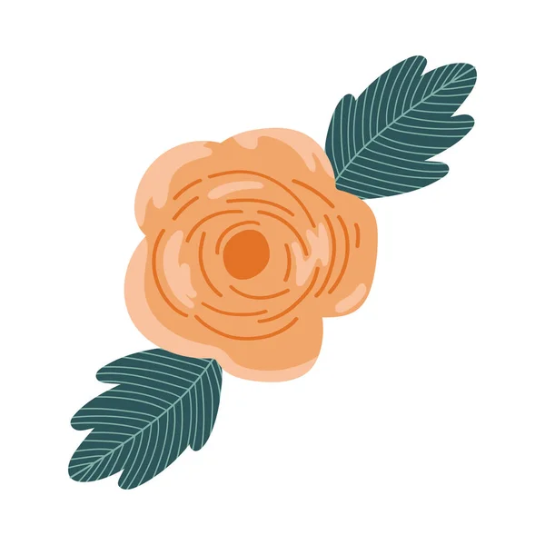 Fleur de beauté orange — Image vectorielle