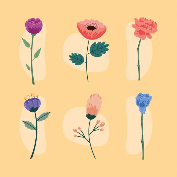 Шесть красивых цветов — стоковый вектор