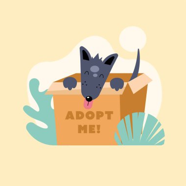 Kutuda köpek evlat edinme