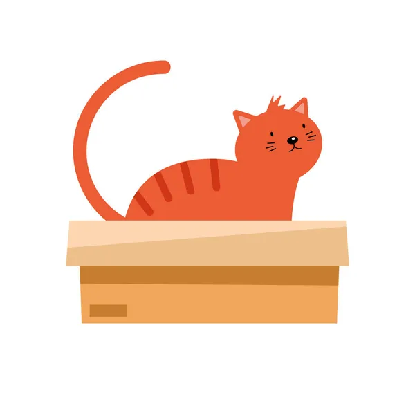 Kleine Katze im Karton — Stockvektor