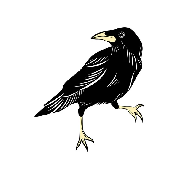 Adesivo corvo preto —  Vetores de Stock