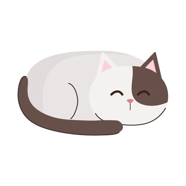Милий кіт спати — стоковий вектор