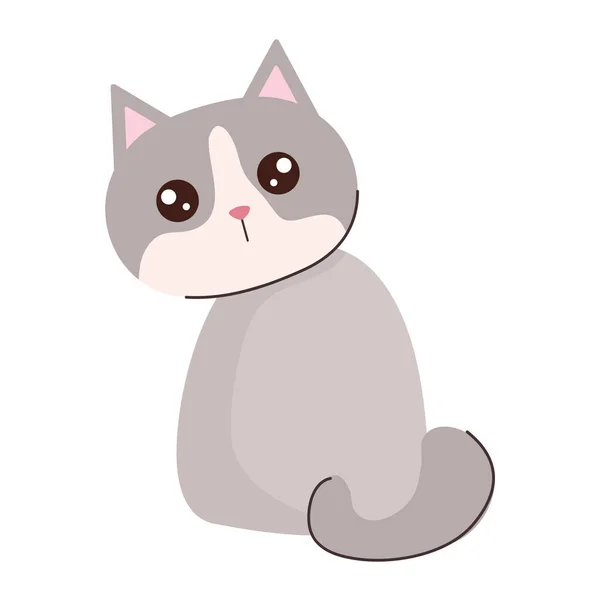 Niedliche Katze graue Farbe — Stockvektor