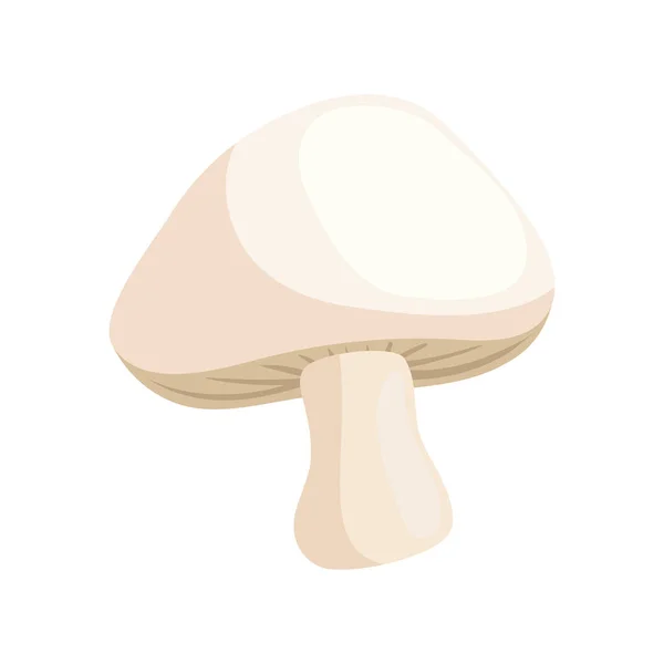 Vegetal de cogumelo fresco —  Vetores de Stock