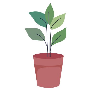 saksı bitkisi dekorasyonu