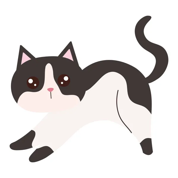 Katze weiß mit grau — Stockvektor