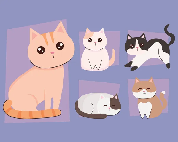 Χαριτωμένα ζώα γάτες — Διανυσματικό Αρχείο