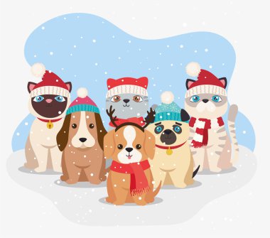 Sevimli altı Noel evcil hayvanı