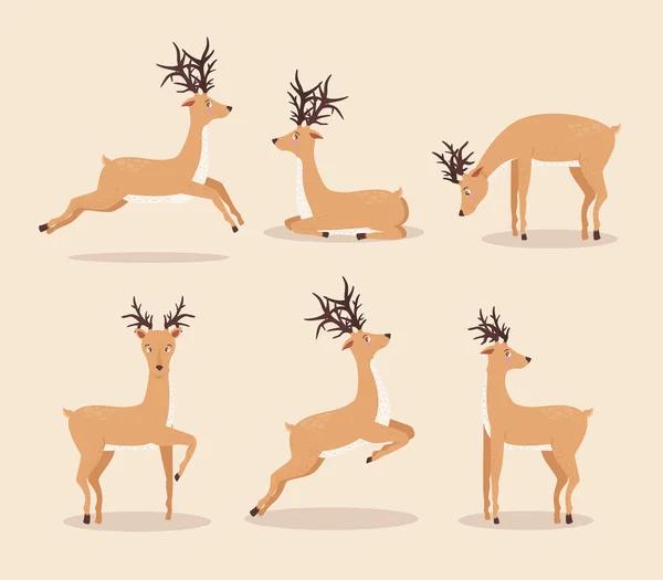 Sei gruppi di animali da renna — Vettoriale Stock