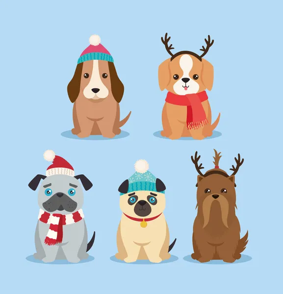 Five cute christmas dogs — Stock Vector