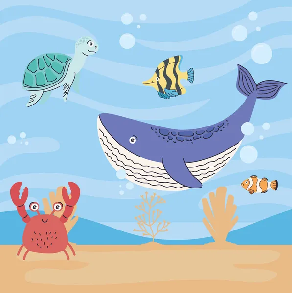 Pięć uroczych zwierząt morskich — Wektor stockowy