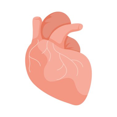 harika kalp tasarımı