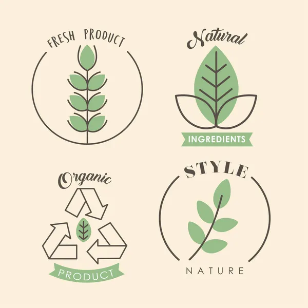 Cuatro etiquetas naturales — Vector de stock